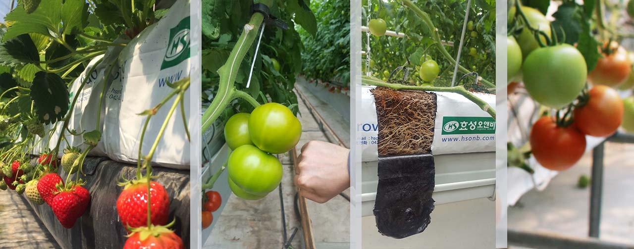 Grow Bag